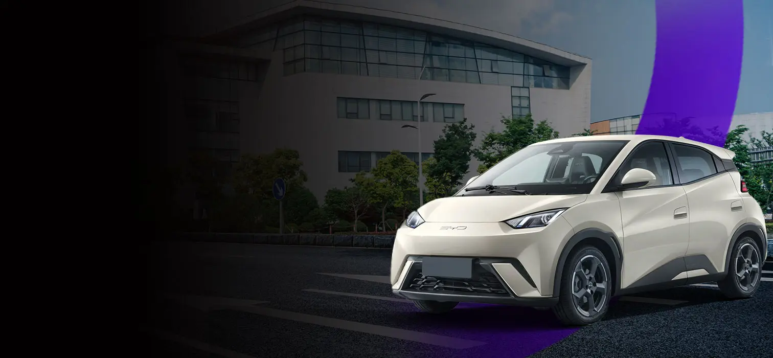 BYD Dolphin Mini Plus